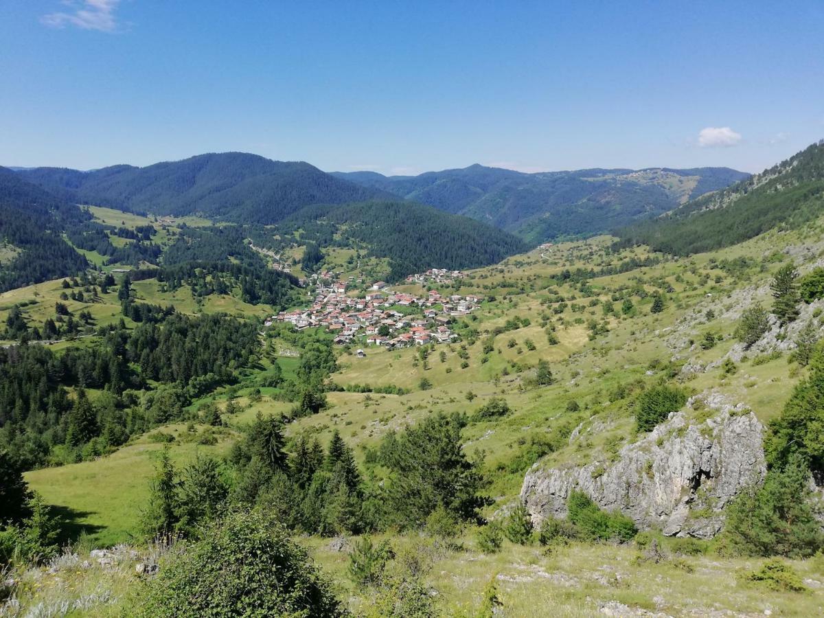 Къща За Гости Романс Yagodina Exterior photo